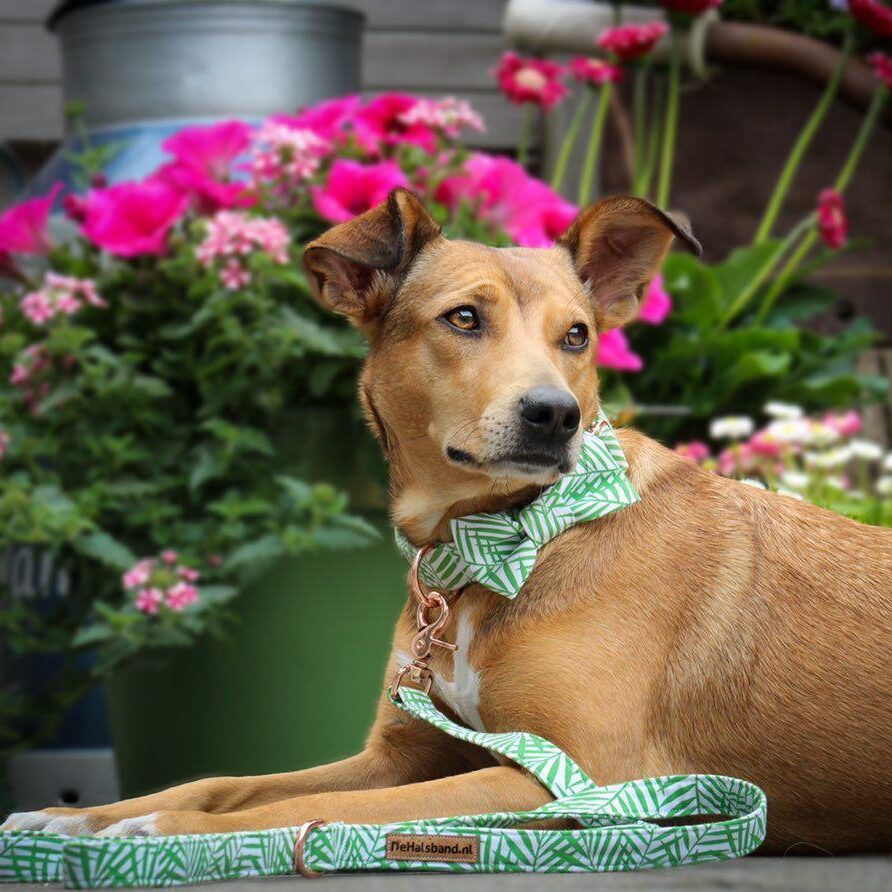 IMG_20200524_095943_655